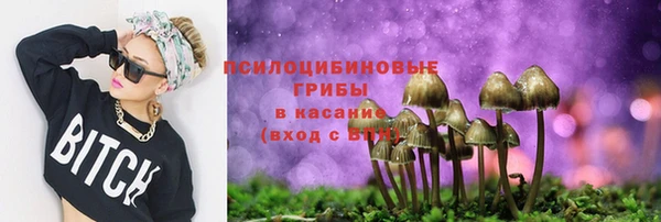 мескалин Переславль-Залесский