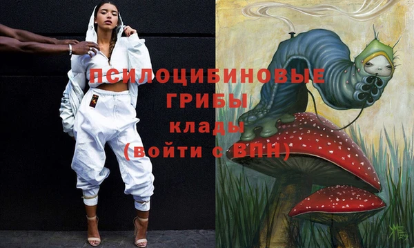 соль ск Пестово