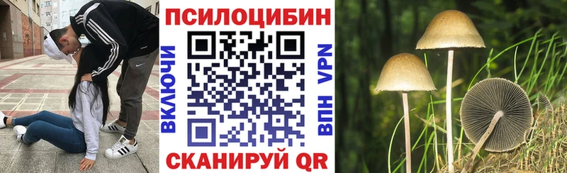 хочу   Пустошка  Галлюциногенные грибы GOLDEN TEACHER 
